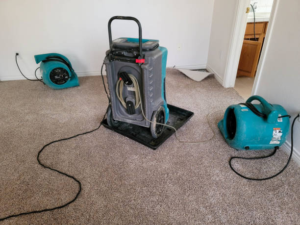 Best Flood restoration services  in Junction, TX
