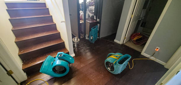Best Professional water damage repair  in Junction, TX