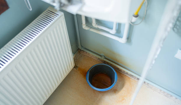 Best Mold removal after water damage  in Junction, TX